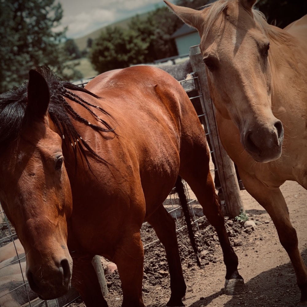 Meet your Posher, Lissa